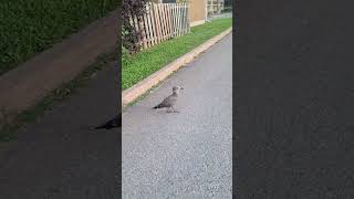 My escort to the bus