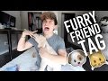 Furry Friend Tag