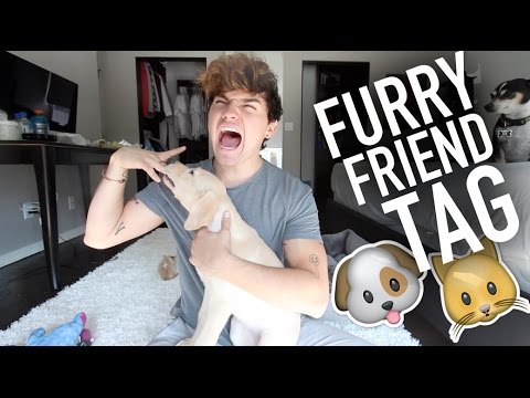 Furry Friend Tag