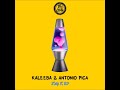 Kaleeba & Antonio Pica - Bass Theory (Original Mix)