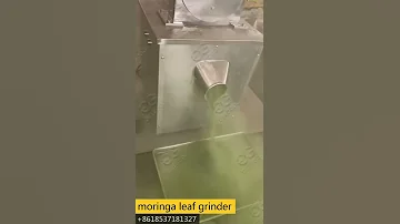 Moringa Leaves Powder Grinding Machine 
