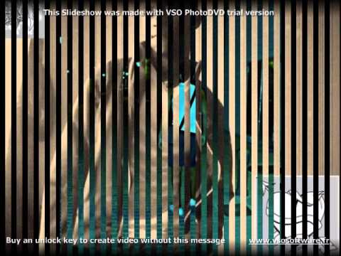 Ver video de Puedo volar