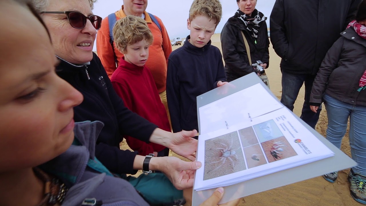 The Living Desert Experience   Charlys Desert Tours 1080p