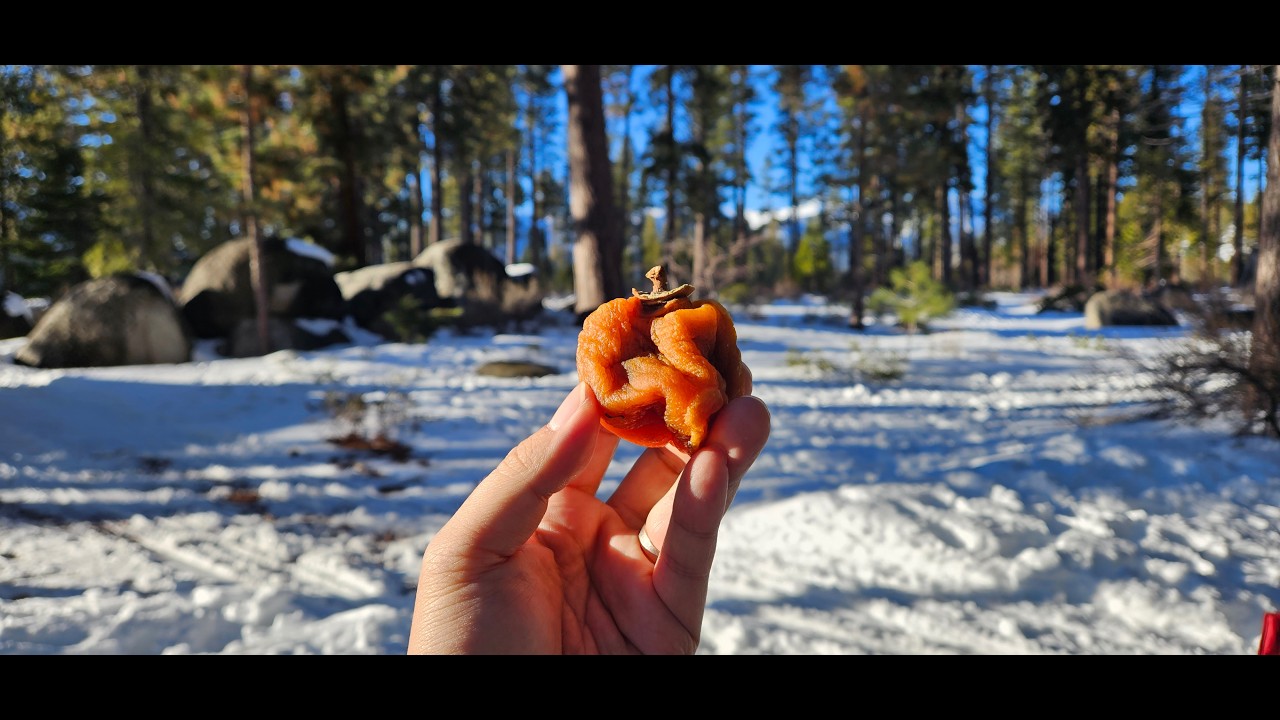 Sand Harbor at Lake Tahoe | Right Back from Korea