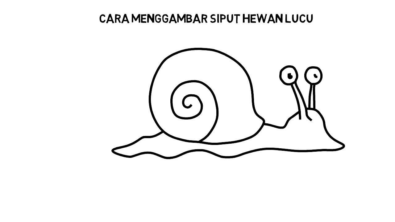 Gambar Siput Hitam Putih : Nah berikut ini contoh gambar ilustrasi
