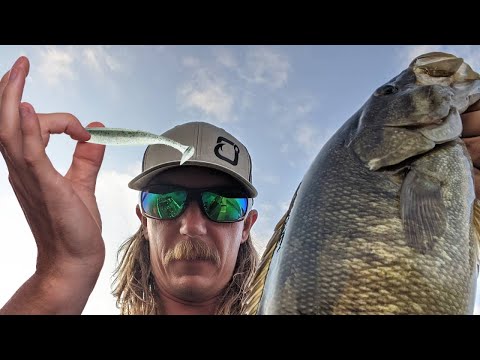 Swimbaits for Big Smallmouth - Feider : Remastered