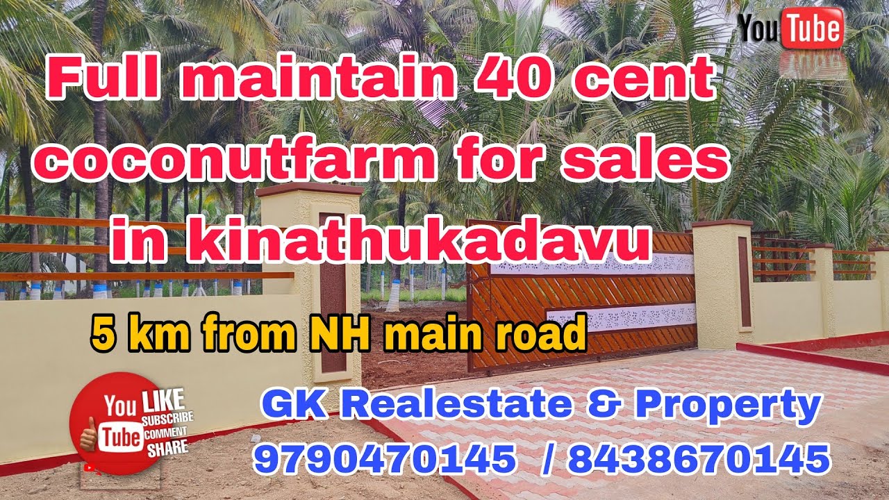 Full Maintain 40 Cent Coconutfarm For Sales In Kinathukadavu YouTube full-maintain-40-cent-coconutfarm-for-sales-in-kinathukadavu-youtube