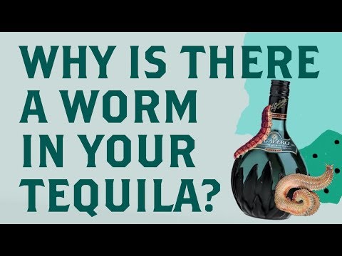 Video: Hvor kom frasen eat the worm fra?