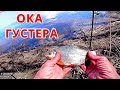 ГУСТЕРА ПОШЛА. Рыбалка на ОКЕ в начале мая.