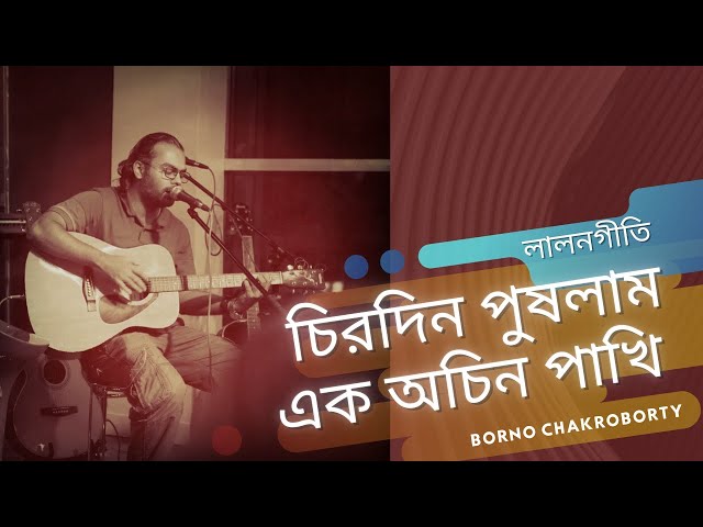 Senzurasiz yapon mushuki Carmella Bing porno aktrisasi fotosurati