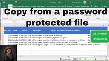Copy from a password protected File in Excel with VBA