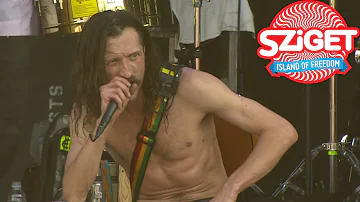 Gogol Bordello - Lela Pala Tute Live @ Sziget 2015