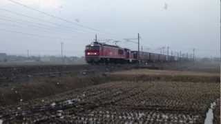 2013年 3月2日　3092レ EF510-9+ DE10-1731さつまいもムド回送付き