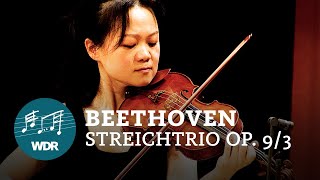 Ludwig van Beethoven - Streichtrio op. 9 Nr. 3 | WDR Sinfonieorchester Chamber Players