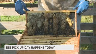Michigan bees return from California, Georgia to pollinate crops across the state