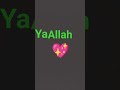 alasjjf 🕋❤❤ allah 🥰🥰🤲❤🕋🕋🕋🕋🕋aplahhf 🕋🕋🕋❤