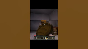 POV: You find a Igloo in Minecraft