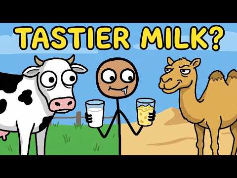 Why Do We Never Drink Other Animal's Milk?