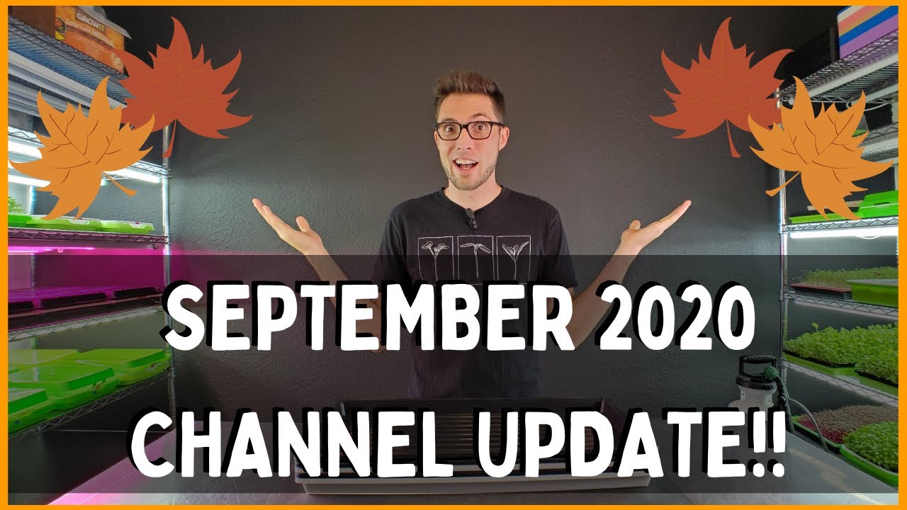 On The Grow - September 2020 Channel Update - Microgreens & Indoor Plants