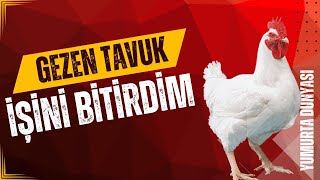 GEZEN TAVUK İSİNİ BIRAKTIM.