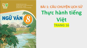 Ngữ Văn 8 Tập 1 Kết Nối Tri Thức Mới - Bài 1- Thực Hành Tiếng Việt - Trang 16