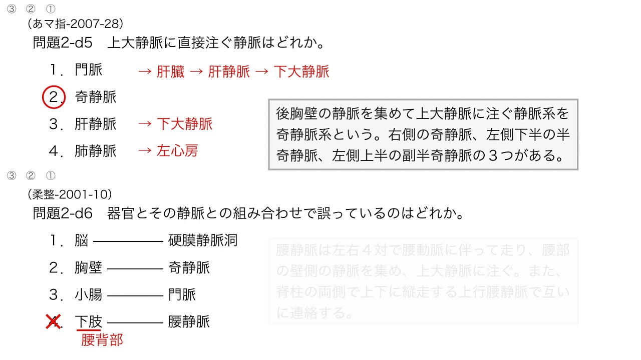 解剖学 国試演習 2 4 循環器系 静脈系 徹底的解剖学