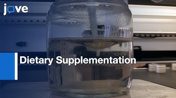 Dietary Supplementation Of Polyunsaturated Fatty Acids In C. elegans l Protocol Preview
