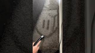 We ❤️ the Bissell Zing