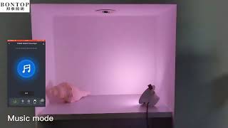 Revolutionize Your Spaces With Bontop Smart Led Lighting For Modern Living And Inspired Design