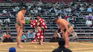 速報❗️二子山部屋 若雅vs 琴ノ藤【大相撲令和7年3月場所】14日