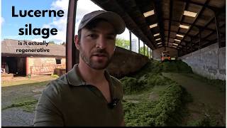 Cutting Lucerne Silage, And Why its Not What You Think