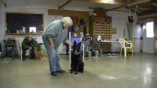 Pat Muller says "A Puppy is soft Clay ready to Mold" screenshot 5