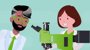 Thinking of switching to LED illumination but are concerned about the cost?