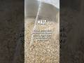 Malt The Barley Grains That Are Foundational To Beer Beer Homemade