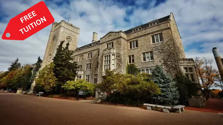 What is the most cheapest school in the world? (2025)