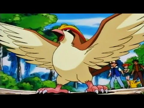 Ash's Pidgeotto evolves into Pidgeot