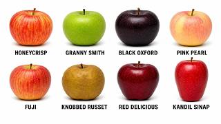 All Apple Varieties in the World Explained 10 Apple Varieties Explained Which One Tastes Best