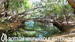 Bottom Whiphandle Waterhole Camping Area - Rinyirru (Lakefield) National Park, Queensland by Live2Camp 588 views 1 year ago 1 minute, 51 seconds