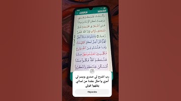 سورة المائدة الآية 4 سعد الغامدي