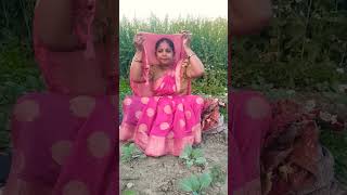 सैया चटनी के कारन मरले चटकनवा #nirgun #nachgeet #chutkula #sohar #vivah #trending ..