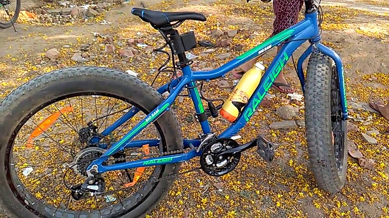 raleigh big sam cycle