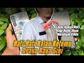 WOW! Cara Rekam Video Padahal Layar Hp Mati - Trik Android 🔥