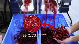 AI tracked intelligent sorting   dried chili peppers flower skin, mold, impurities