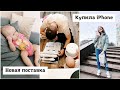 Женя защитил диплом🎉 Я купила себе iPhone 13💥 Базы уже на Вайлдберис🤩