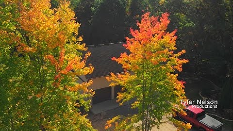 DJI Mavic Air footage using Davinci resolve 17 editing software