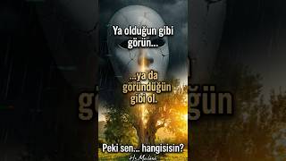 Mevlânâ'nın Yüzyılları Aşan Sırrı: Sen Hangisisin? 🌿