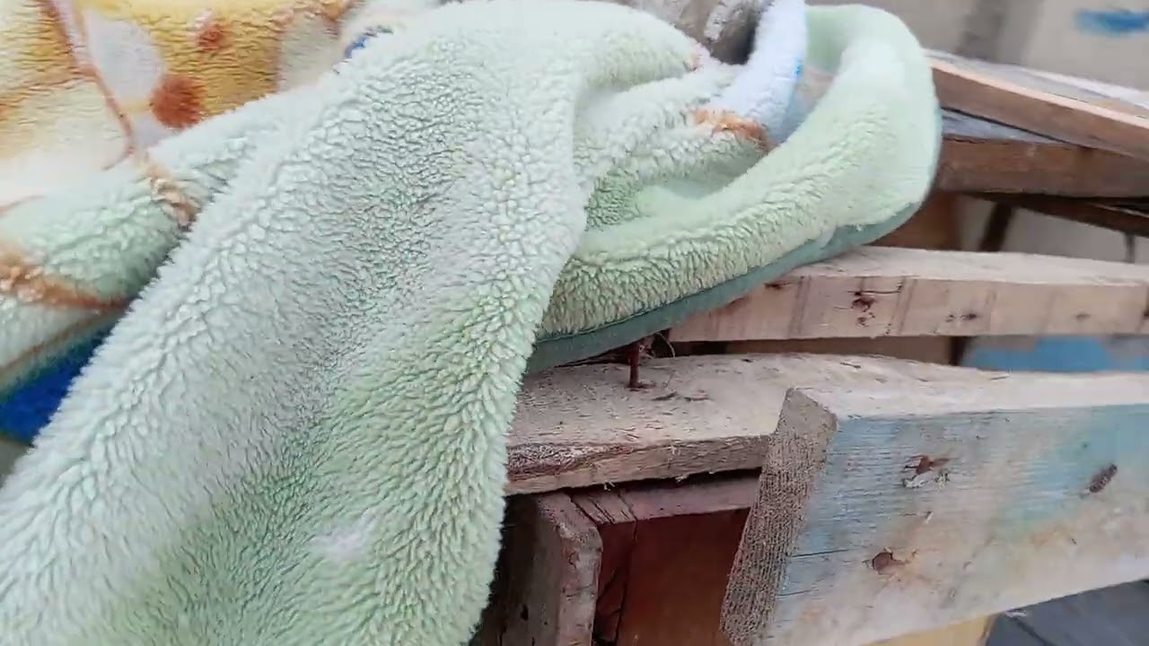 ٢٣ شباط، ٢٠٢٦