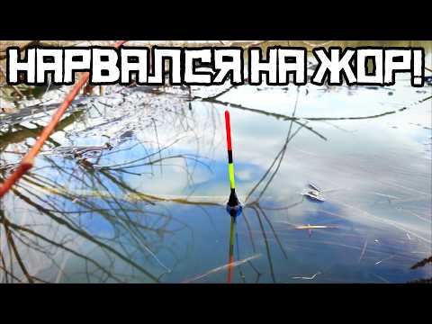 ТАКОЙ РЫБАЛКИ Я НЕ ЖДАЛ! Крупняк вышел в КУСТАХ! Рыбалка 2026