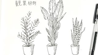 4分でわかる観葉植物のペン画の書き方 Youtube 4分でわかる観葉植物のペン画の書き方 Youtube