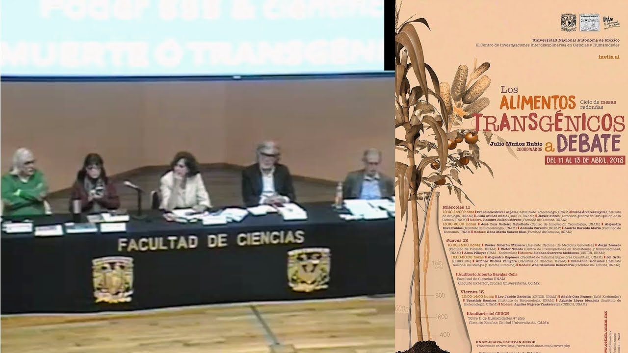 Debate de la 1° Mesa redonda del Ciclo de Mesas Redondas "Los Alimentos Transgénicos a debate"